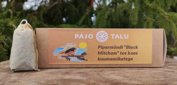 Piparmündi “Black Mitcham” tee koos kuumaasikatega