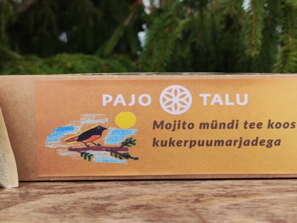 Mojito mündi tee koos kukerpuumarjadega