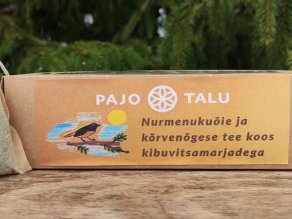 Nurmenukuõie ja kõrvenõgese tee koos kibuvitsamarjadega