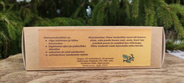 Nurmenukuõie ja kõrvenõgese tee koos kibuvitsamarjadega