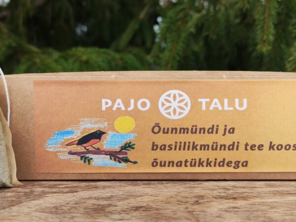 Õunmündi ja basiilikmündi tee koos õunatükkidega