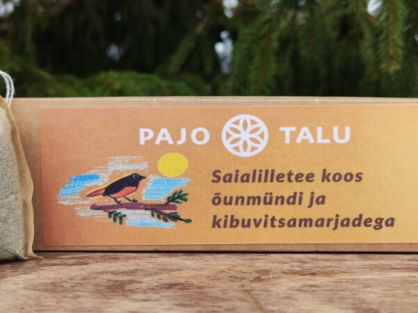 Saialilletee koos õunmündi ja kibuvitsamarjadega