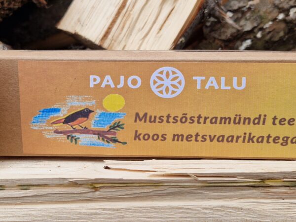 Mustsõstramündi tee koos metsvaarikatega