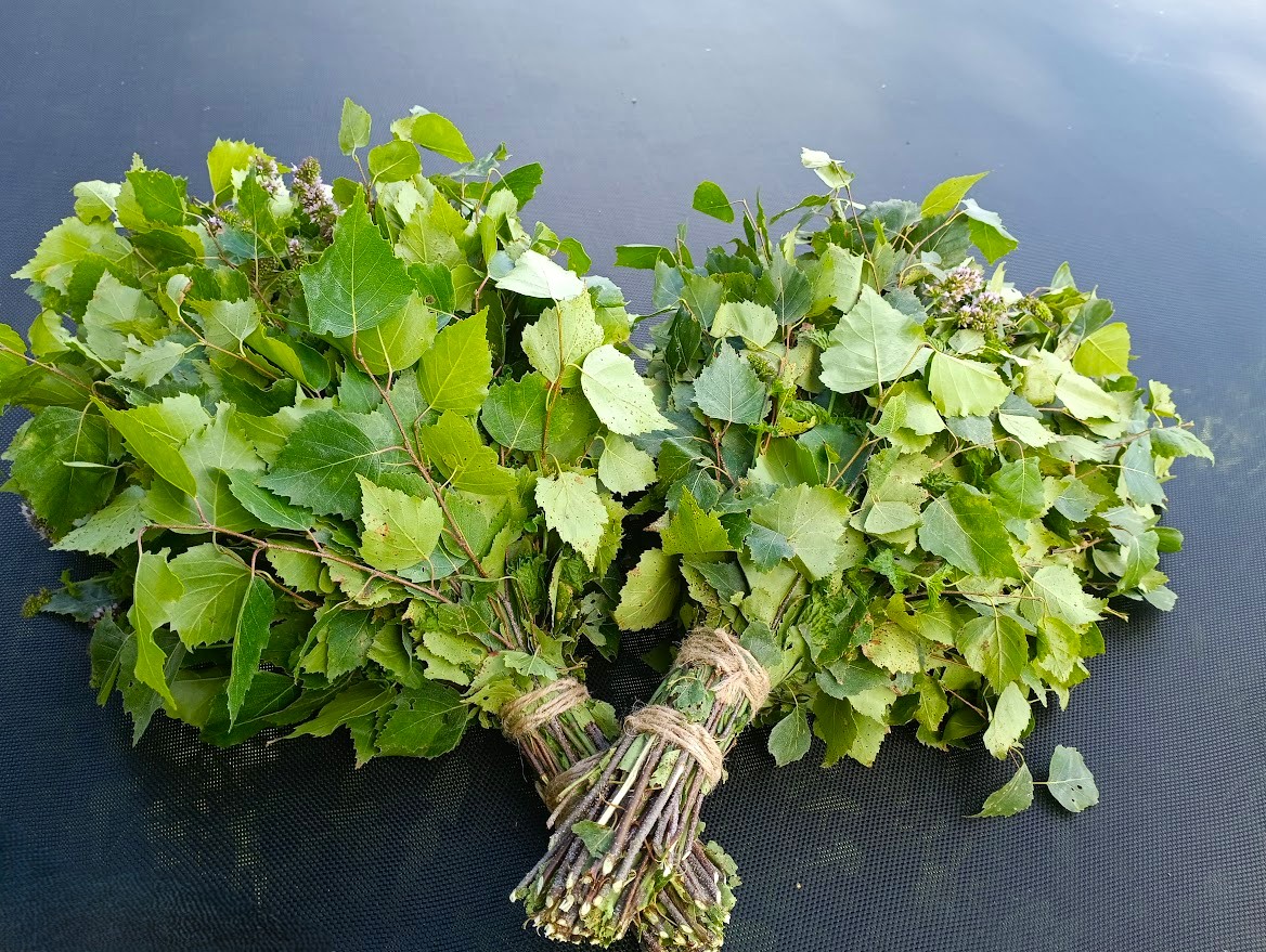 Kasevihad piparmündiga